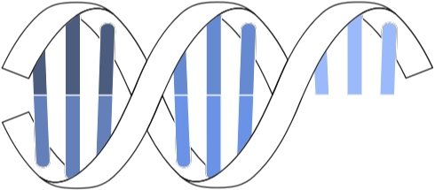 Servicio de Consultoría